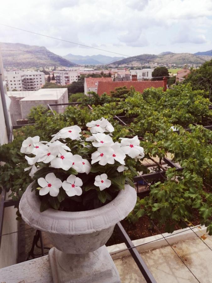 Ferienwohnung Nemanja Trebinje Exterior foto